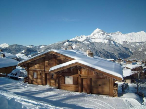 Confortable chalet 12 personnes avec WiFi et parking, près des pistes - FR-1-733-25